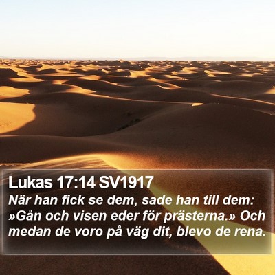 Lukas 17:14 SV1917 Bible Verse Image