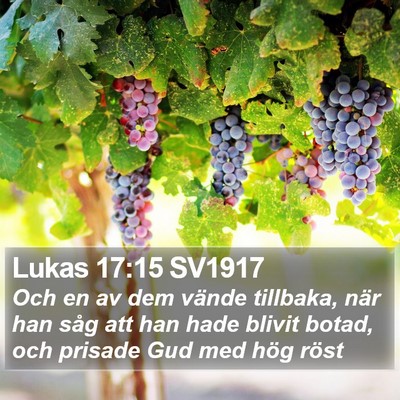 Lukas 17:15 SV1917 Bible Verse Image