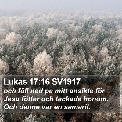 Lukas 17:16 SV1917 Bible Verse Image