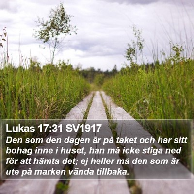 Lukas 17:31 SV1917 Bible Verse Image