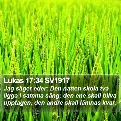 Lukas 17:34 SV1917 Bible Verse Image