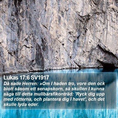 Lukas 17:6 SV1917 Bible Verse Image