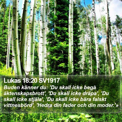 Lukas 18:20 SV1917 Bible Verse Image