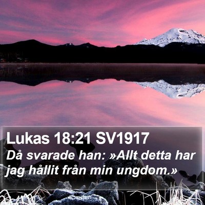 Lukas 18:21 SV1917 Bible Verse Image