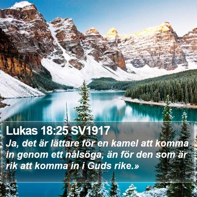 Lukas 18:25 SV1917 Bible Verse Image