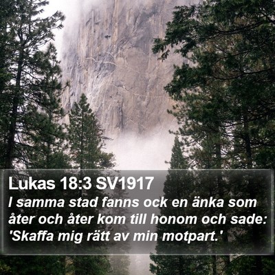 Lukas 18:3 SV1917 Bible Verse Image