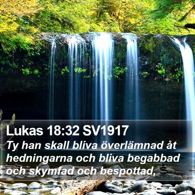 Lukas 18:32 SV1917 Bible Verse Image