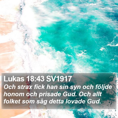 Lukas 18:43 SV1917 Bible Verse Image