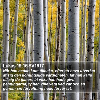 Lukas 19:15 SV1917 Bible Verse Image