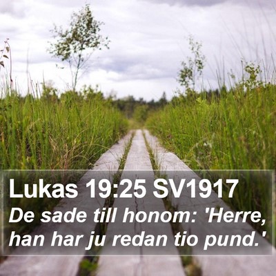 Lukas 19:25 SV1917 Bible Verse Image