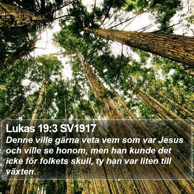 Lukas 19:3 SV1917 Bible Verse Image