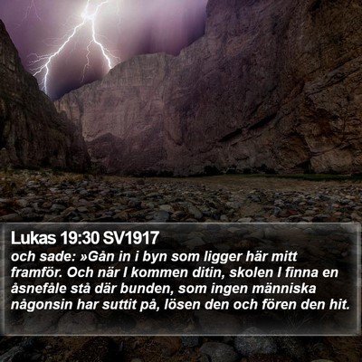 Lukas 19:30 SV1917 Bible Verse Image