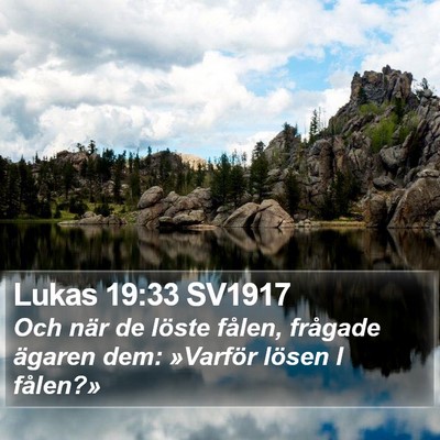 Lukas 19:33 SV1917 Bible Verse Image