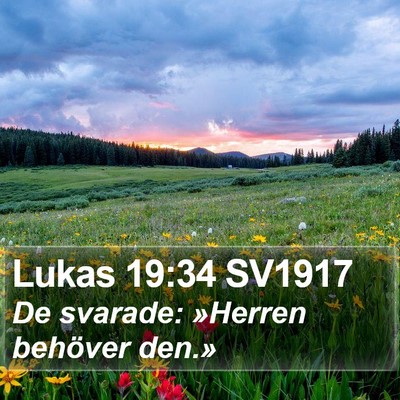 Lukas 19:34 SV1917 Bible Verse Image