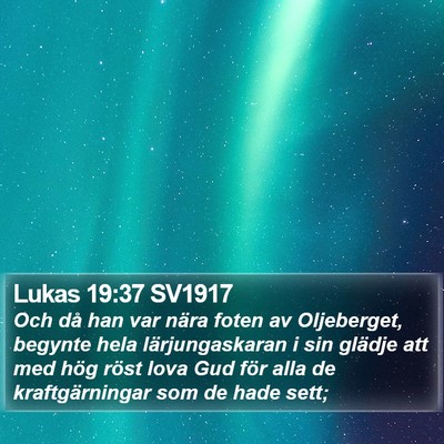 Lukas 19:37 SV1917 Bible Verse Image