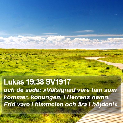 Lukas 19:38 SV1917 Bible Verse Image