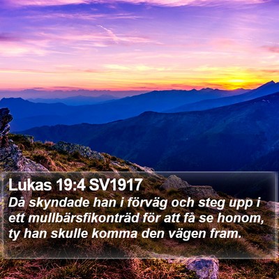 Lukas 19:4 SV1917 Bible Verse Image