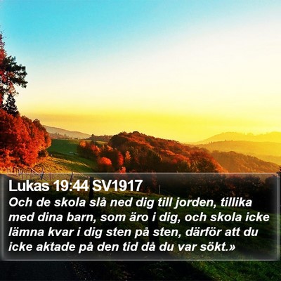 Lukas 19:44 SV1917 Bible Verse Image