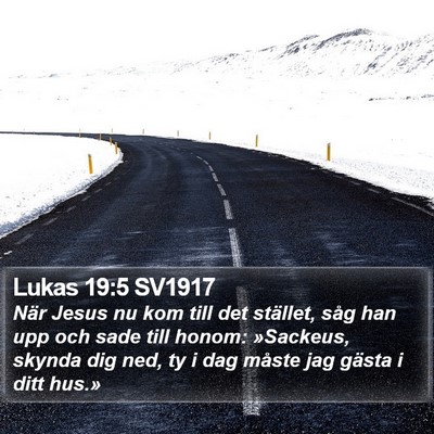 Lukas 19:5 SV1917 Bible Verse Image