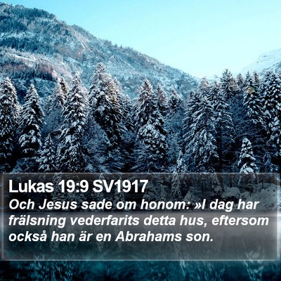 Lukas 19:9 SV1917 Bible Verse Image