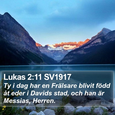 Lukas 2:11 SV1917 Bible Verse Image