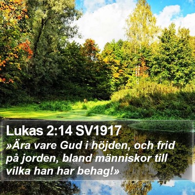 Lukas 2:14 SV1917 Bible Verse Image