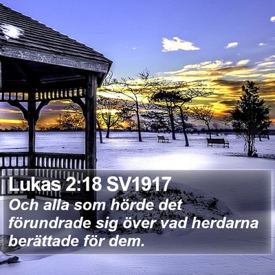 Lukas 2:18 SV1917 Bible Verse Image