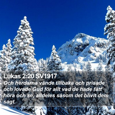 Lukas 2:20 SV1917 Bible Verse Image