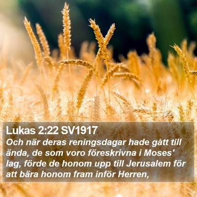 Lukas 2:22 SV1917 Bible Verse Image