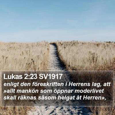Lukas 2:23 SV1917 Bible Verse Image