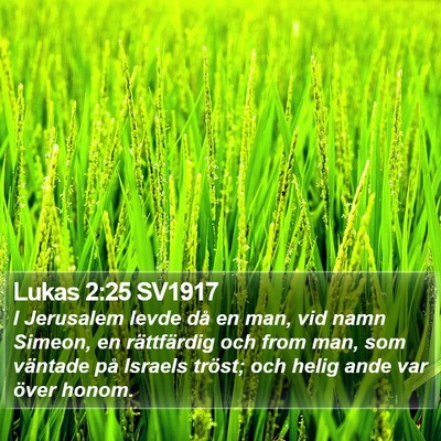 Lukas 2:25 SV1917 Bible Verse Image
