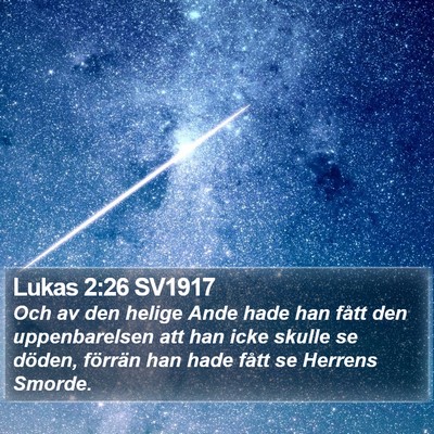 Lukas 2:26 SV1917 Bible Verse Image