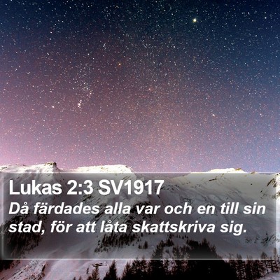Lukas 2:3 SV1917 Bible Verse Image