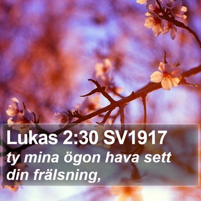Lukas 2:30 SV1917 Bible Verse Image