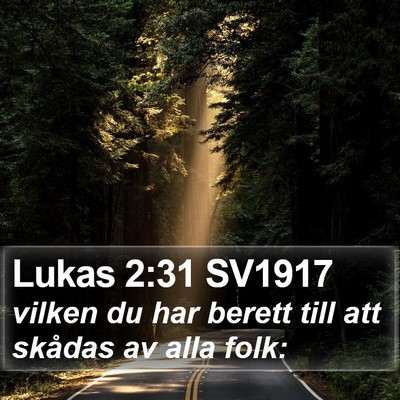 Lukas 2:31 SV1917 Bible Verse Image