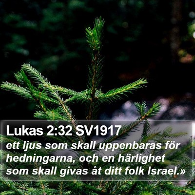 Lukas 2:32 SV1917 Bible Verse Image
