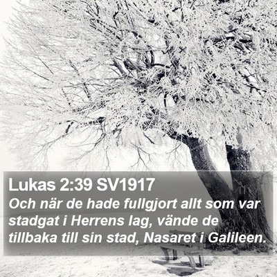 Lukas 2:39 SV1917 Bible Verse Image