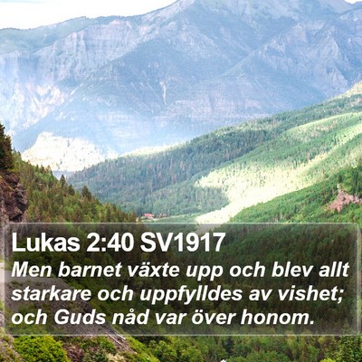 Lukas 2:40 SV1917 Bible Verse Image