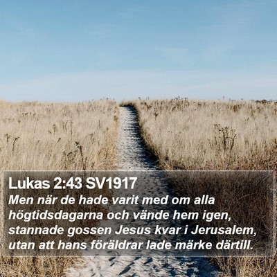 Lukas 2:43 SV1917 Bible Verse Image