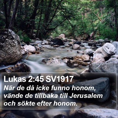Lukas 2:45 SV1917 Bible Verse Image