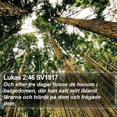 Lukas 2:46 SV1917 Bible Verse Image