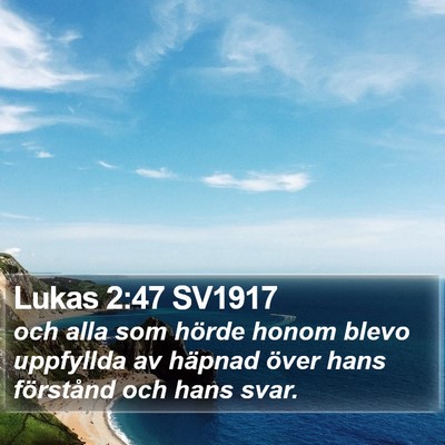 Lukas 2:47 SV1917 Bible Verse Image
