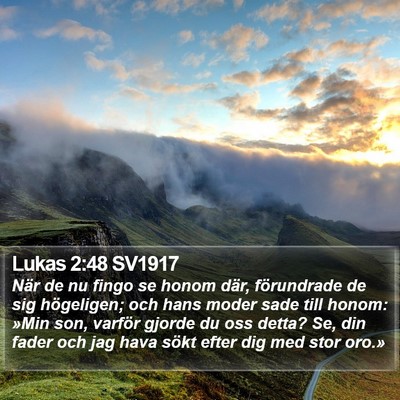 Lukas 2:48 SV1917 Bible Verse Image