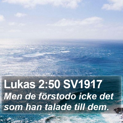 Lukas 2:50 SV1917 Bible Verse Image