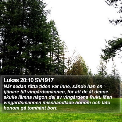 Lukas 20:10 SV1917 Bible Verse Image
