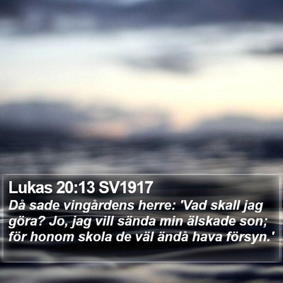 Lukas 20:13 SV1917 Bible Verse Image