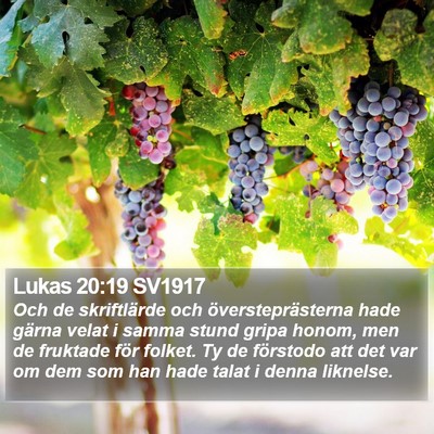 Lukas 20:19 SV1917 Bible Verse Image