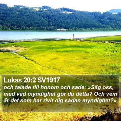 Lukas 20:2 SV1917 Bible Verse Image