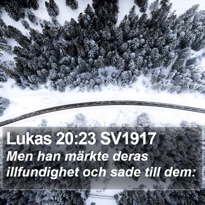Lukas 20:23 SV1917 Bible Verse Image