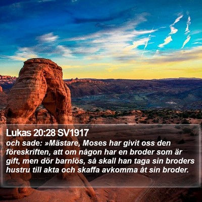 Lukas 20:28 SV1917 Bible Verse Image